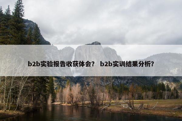 b2b实验报告收获体会？ b2b实训结果分析？
