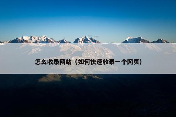 怎么收录网站（如何快速收录一个网页）