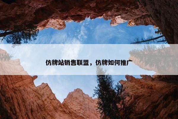 仿牌站销售联盟，仿牌如何推广