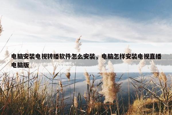 电脑安装电视转播软件怎么安装，电脑怎样安装电视直播电脑版