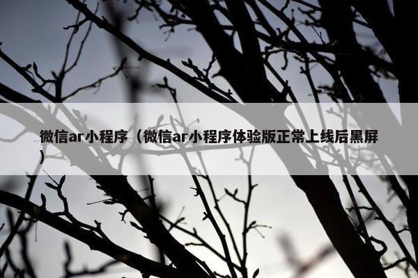 微信ar小程序（微信ar小程序体验版正常上线后黑屏）