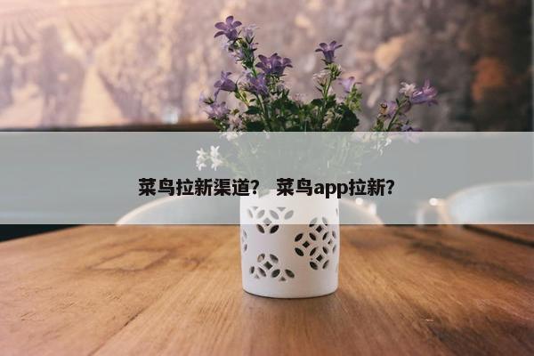 菜鸟拉新渠道？ 菜鸟app拉新？