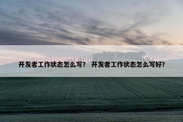 开发者工作状态怎么写？ 开发者工作状态怎么写好？