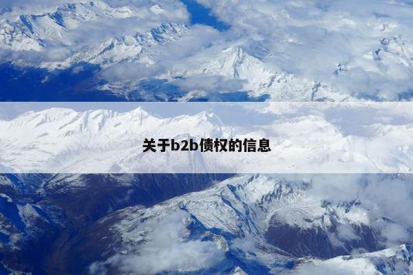 关于b2b债权的信息