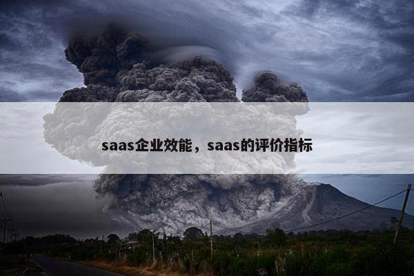saas企业效能，saas的评价指标