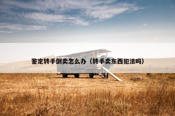 鉴定转手倒卖怎么办（转手卖东西犯法吗）