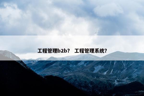 工程管理b2b？ 工程管理系统？