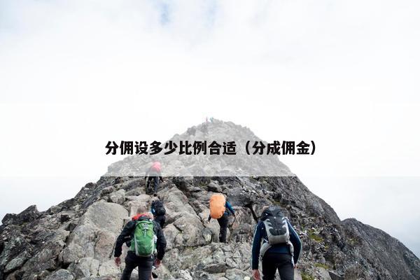 分佣设多少比例合适（分成佣金）