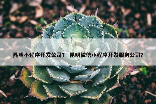 昆明小程序开发公司？ 昆明微信小程序开发服务公司？