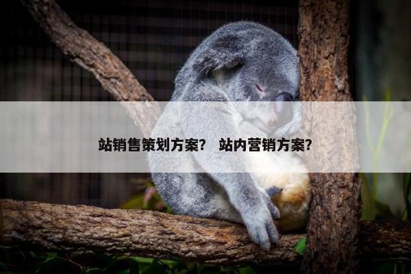 站销售策划方案？ 站内营销方案？