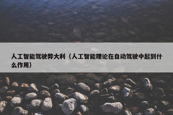 人工智能驾驶弊大利（人工智能理论在自动驾驶中起到什么作用）
