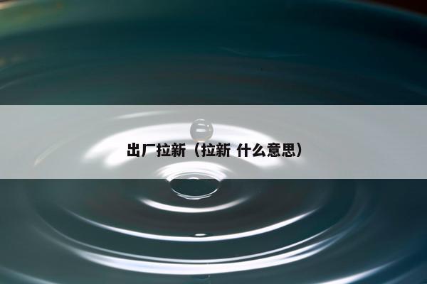 出厂拉新（拉新 什么意思）