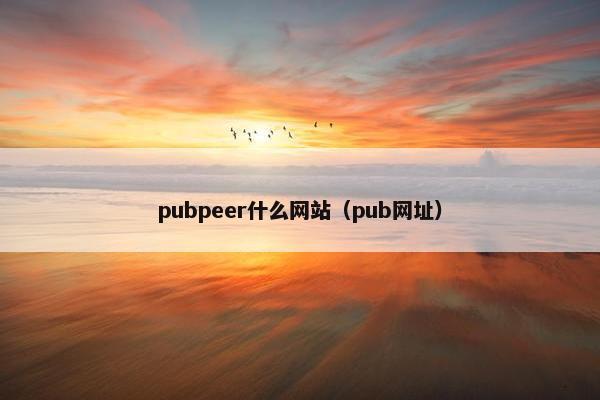pubpeer什么网站（pub网址）