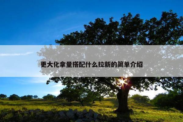 更大化拿量搭配什么拉新的简单介绍
