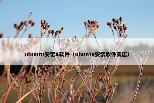 ubuntu安装A软件（ubuntu安装软件商店）
