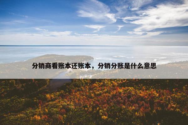 分销商看账本还账本，分销分账是什么意思