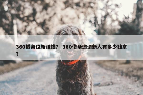 360借条拉新赚钱？ 360借条邀请新人有多少钱拿？