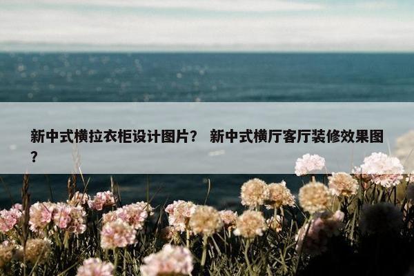 新中式横拉衣柜设计图片？ 新中式横厅客厅装修效果图？