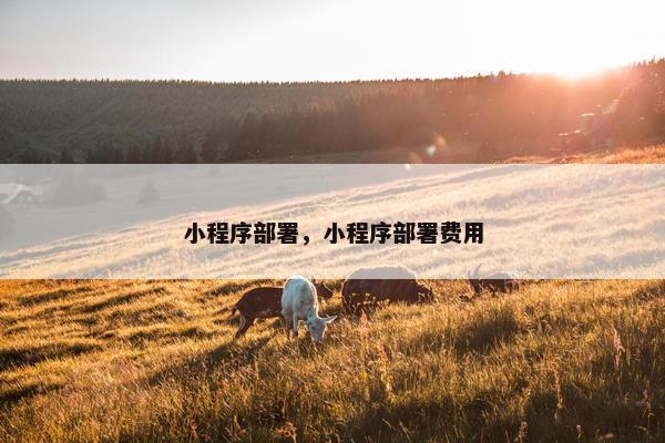 小程序部署，小程序部署费用