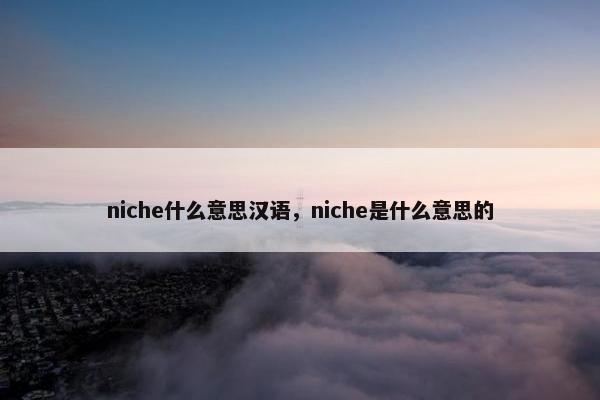 niche什么意思汉语，niche是什么意思的