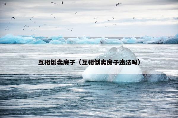互相倒卖房子（互相倒卖房子违法吗）