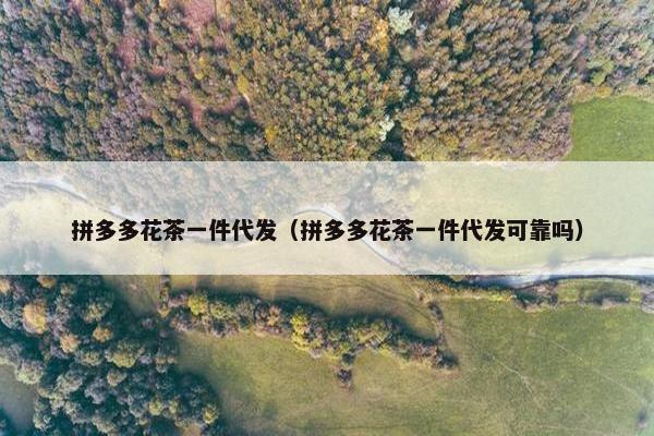 拼多多花茶一件代发（拼多多花茶一件代发可靠吗）
