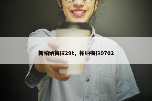 新帕纳梅拉29t，帕纳梅拉9702