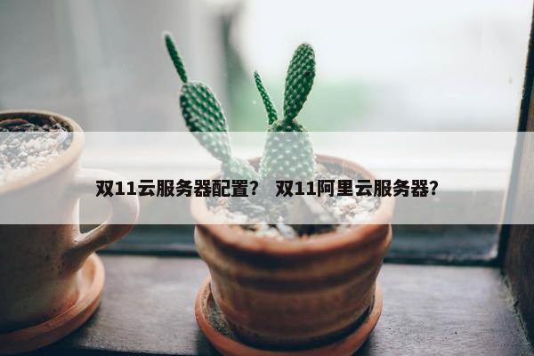 双11云服务器配置？ 双11阿里云服务器？