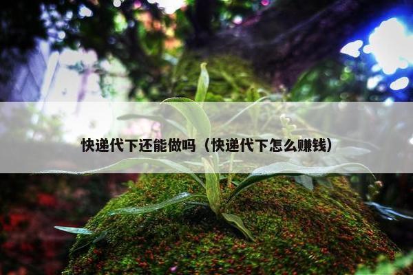 快递代下还能做吗（快递代下怎么赚钱）