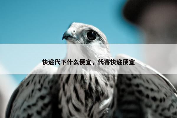 快递代下什么便宜，代寄快递便宜