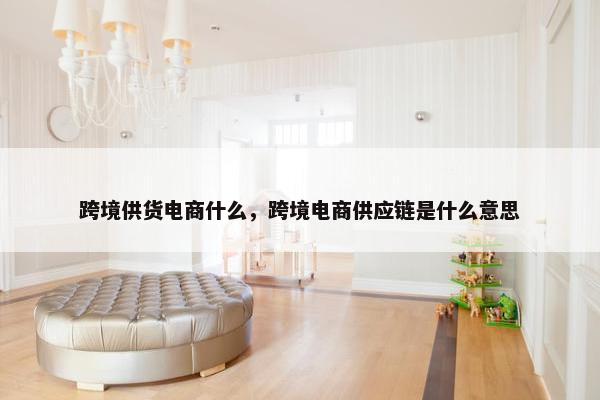 跨境供货电商什么，跨境电商供应链是什么意思