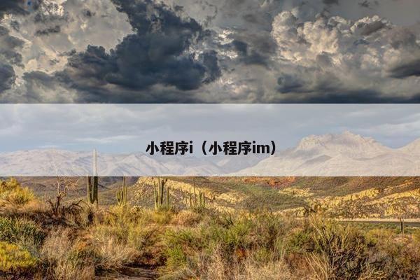 小程序i（小程序im）