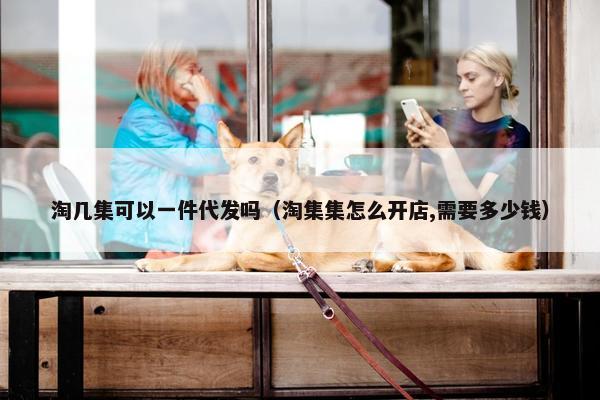 淘几集可以一件代发吗（淘集集怎么开店,需要多少钱）