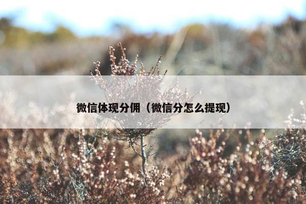 微信体现分佣（微信分怎么提现）