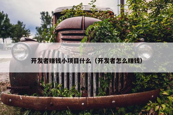 开发者赚钱小项目什么（开发者怎么赚钱）