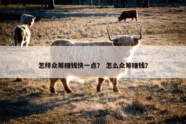 怎样众筹赚钱快一点？ 怎么众筹赚钱？
