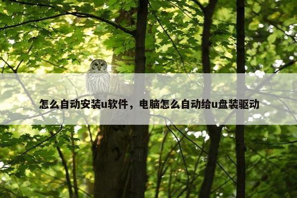 怎么自动安装u软件，电脑怎么自动给u盘装驱动