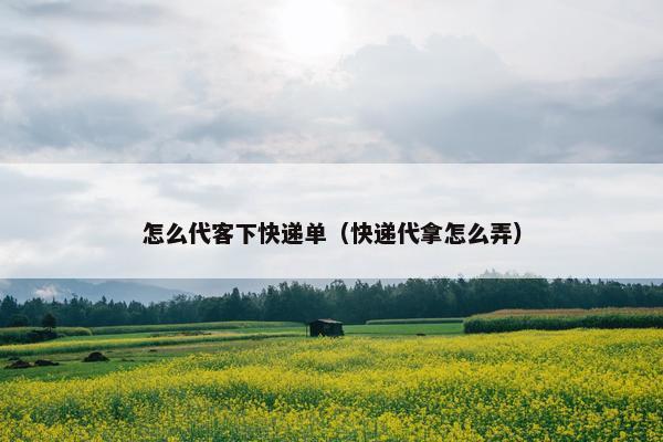 怎么代客下快递单（快递代拿怎么弄）