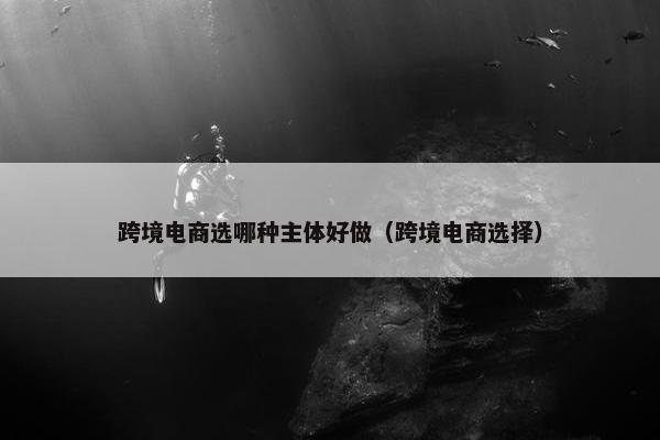 跨境电商选哪种主体好做（跨境电商选择）