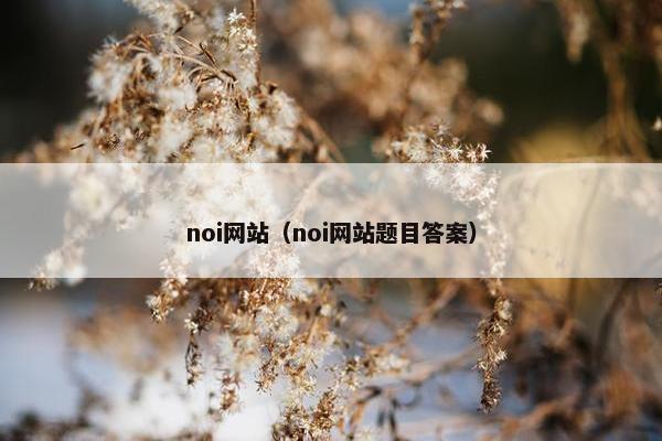 noi网站（noi网站题目答案）