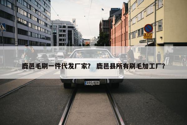 鹿邑毛刷一件代发厂家？ 鹿邑县所有刷毛加工厂？