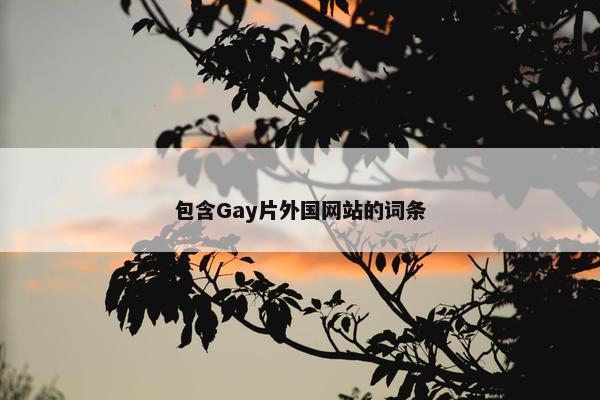 包含Gay片外国网站的词条