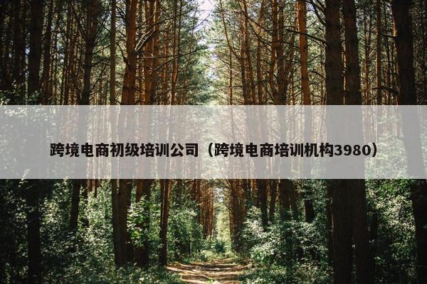 跨境电商初级培训公司（跨境电商培训机构3980）