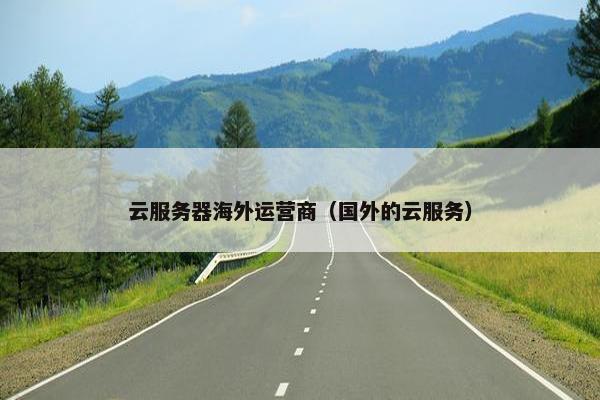 云服务器海外运营商（国外的云服务）
