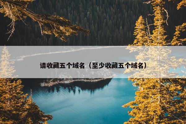 请收藏五个域名（至少收藏五个域名）