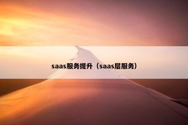 saas服务提升（saas层服务）