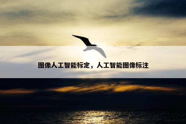 图像人工智能标定，人工智能图像标注