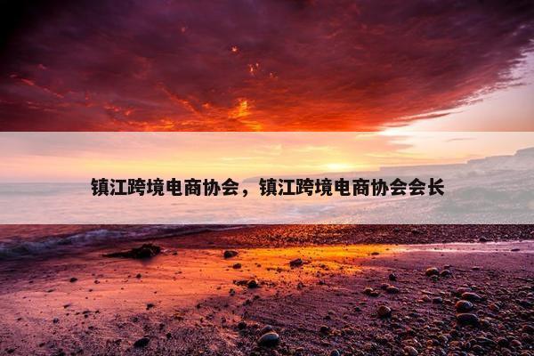 镇江跨境电商协会，镇江跨境电商协会会长