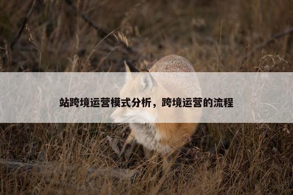 站跨境运营模式分析，跨境运营的流程