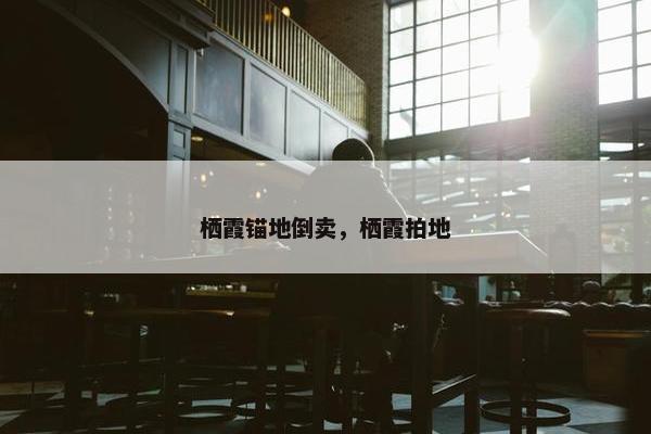栖霞锚地倒卖，栖霞拍地